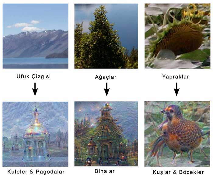 Google yapay sinir ağı kaya veya ağaç resimleriyle ilgili genellikle benzer desenler bulmuştur.